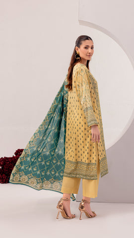 3 PC-Printed Lawn Suit DYV2-27