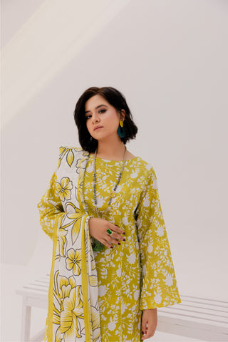 3 PC-Printed Lawn Suit DYV1-1